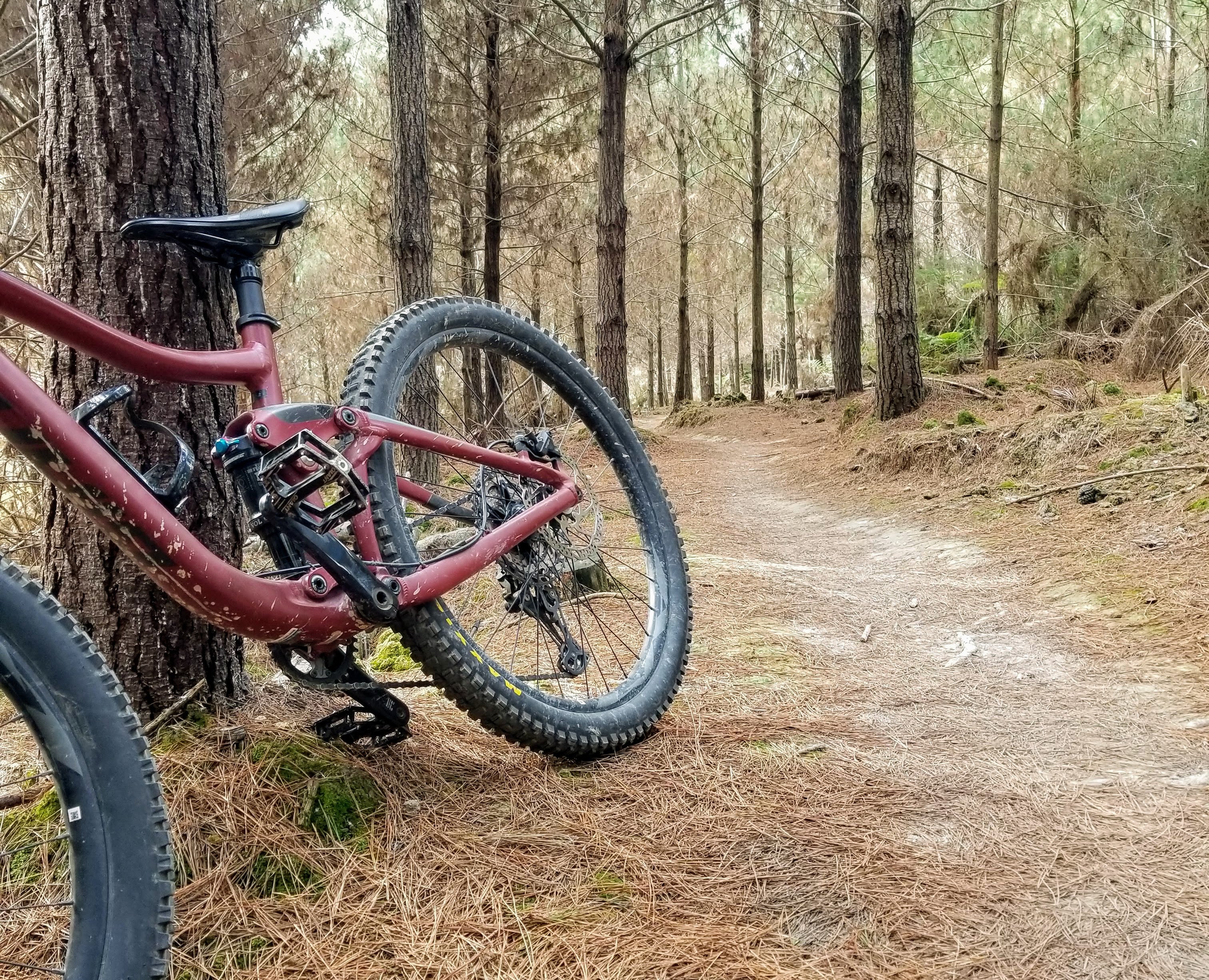 Learning to Mountain Bike