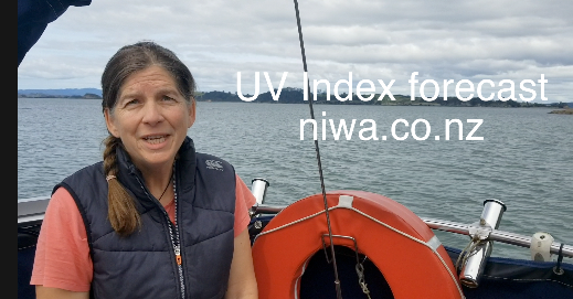 What is the UV Index?