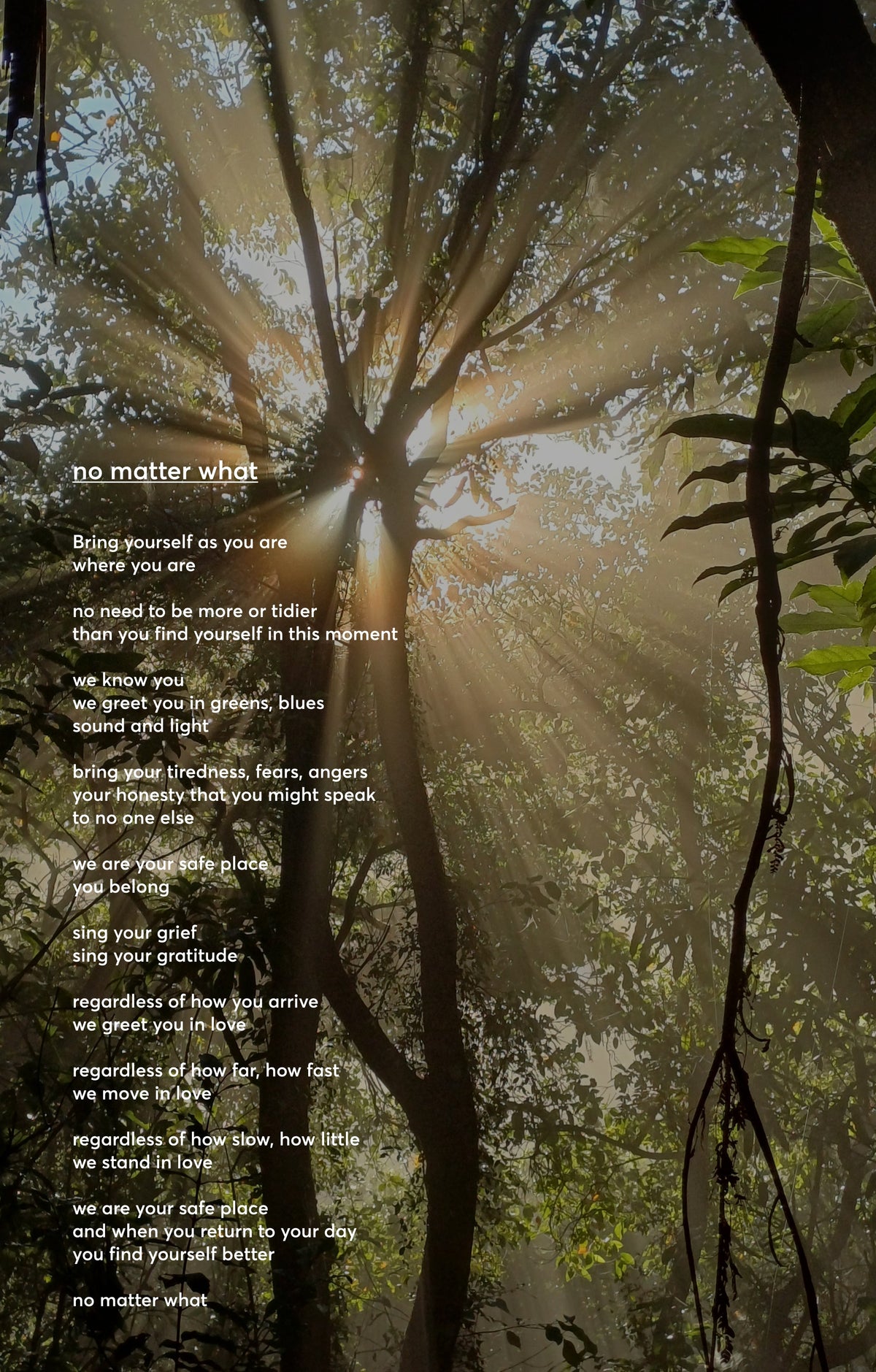 sun through fog and trees poem no matter what