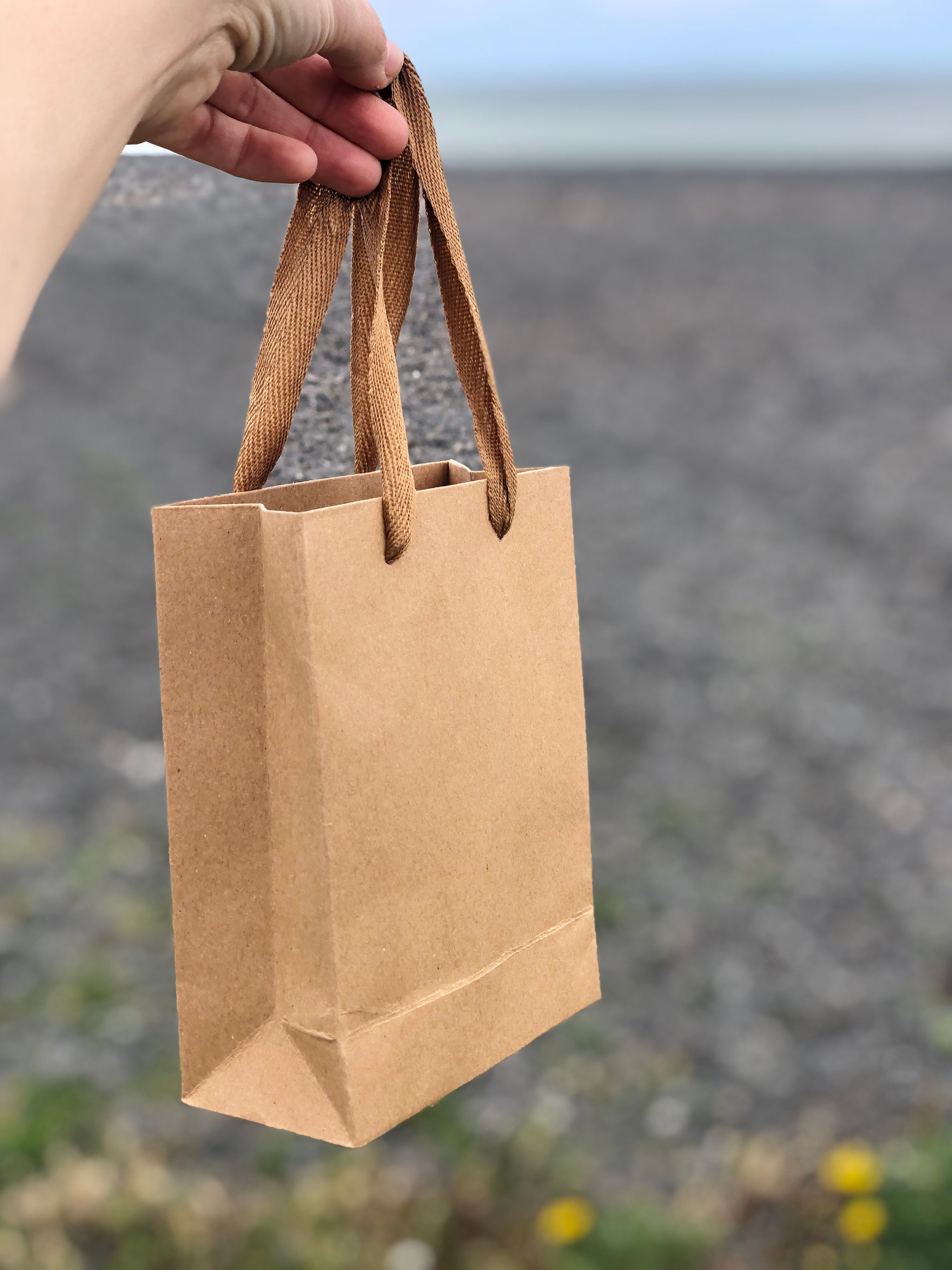 Gift Bag